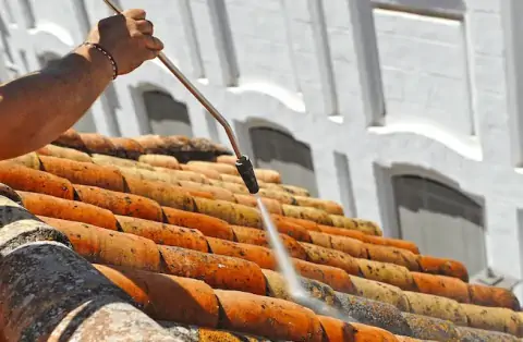 Nettoyage de toitures - Roinville